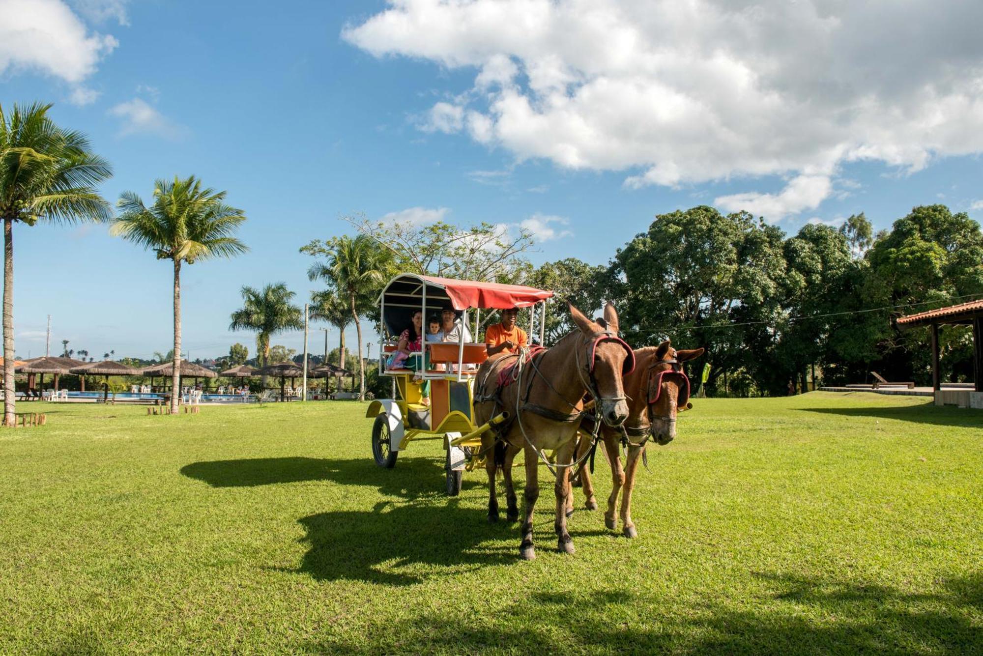 Hotel Fazenda Mirage Feira de Santana Extérieur photo